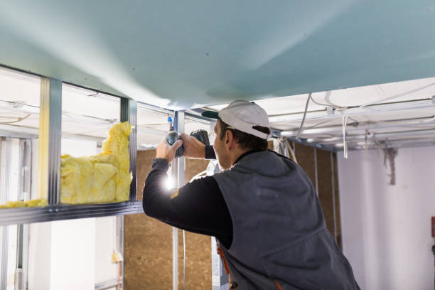 Best Spray Foam Insulation  in South Valley Stream, NY