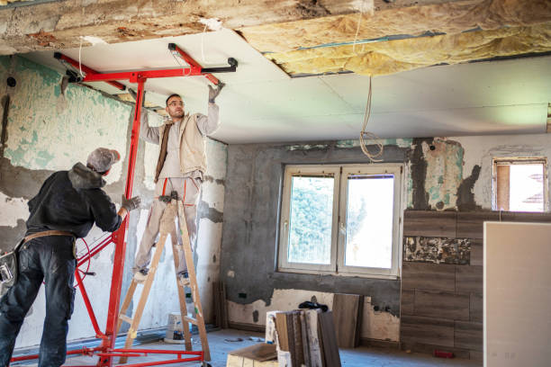 Best Insulation Removal  in South Valley Stream, NY