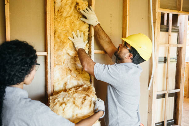 Best Crawl Space Insulation  in South Valley Stream, NY